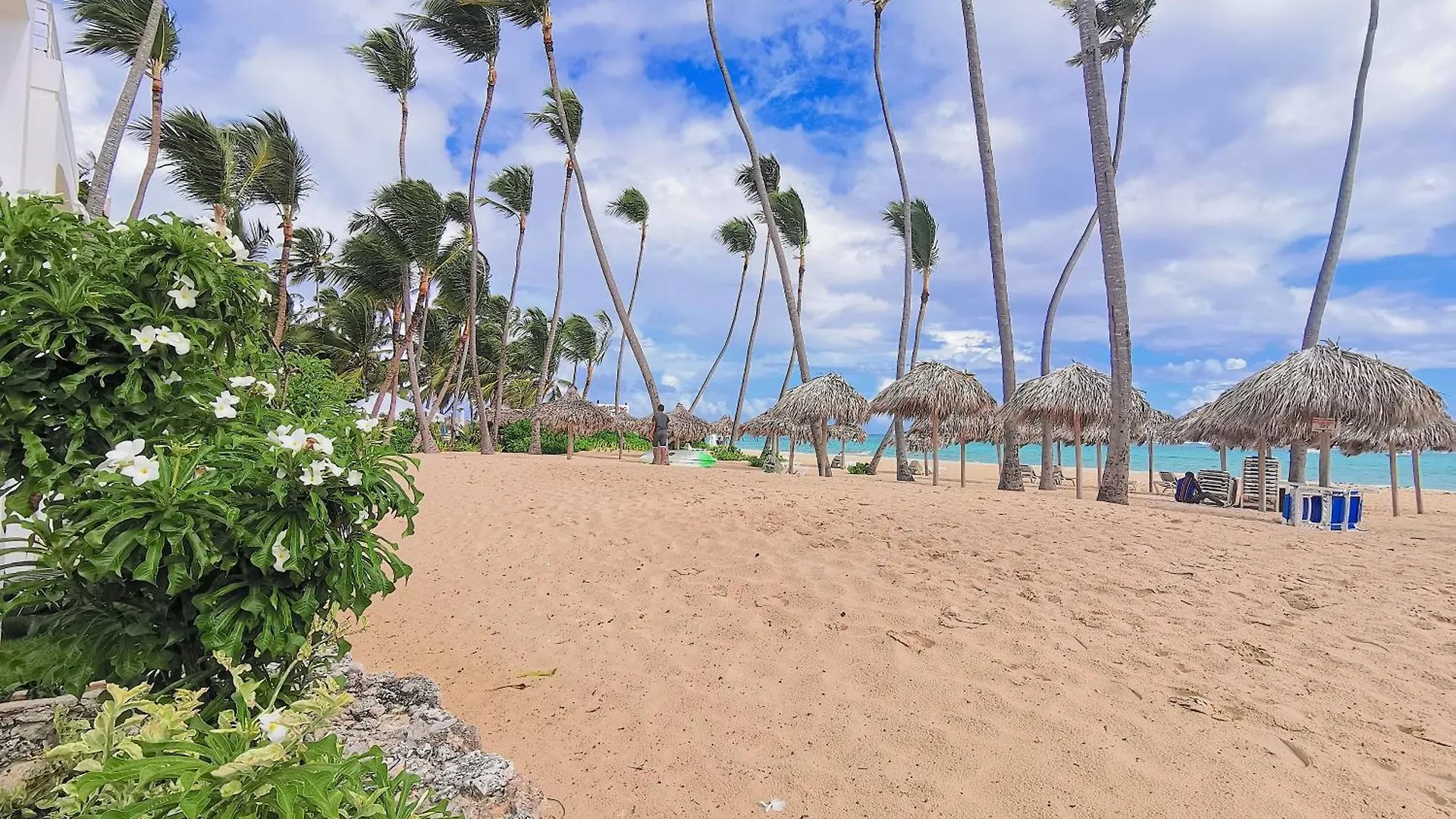 Tropical Suites Villas And Homes - Beach Club, Spa, Restaurants - Playa Los Corales Punta Cana Dominican Republic